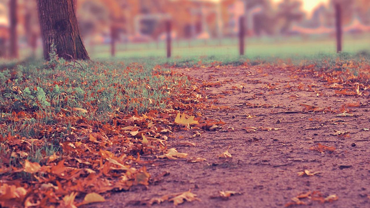 The technology adoption curve: where your business sits
