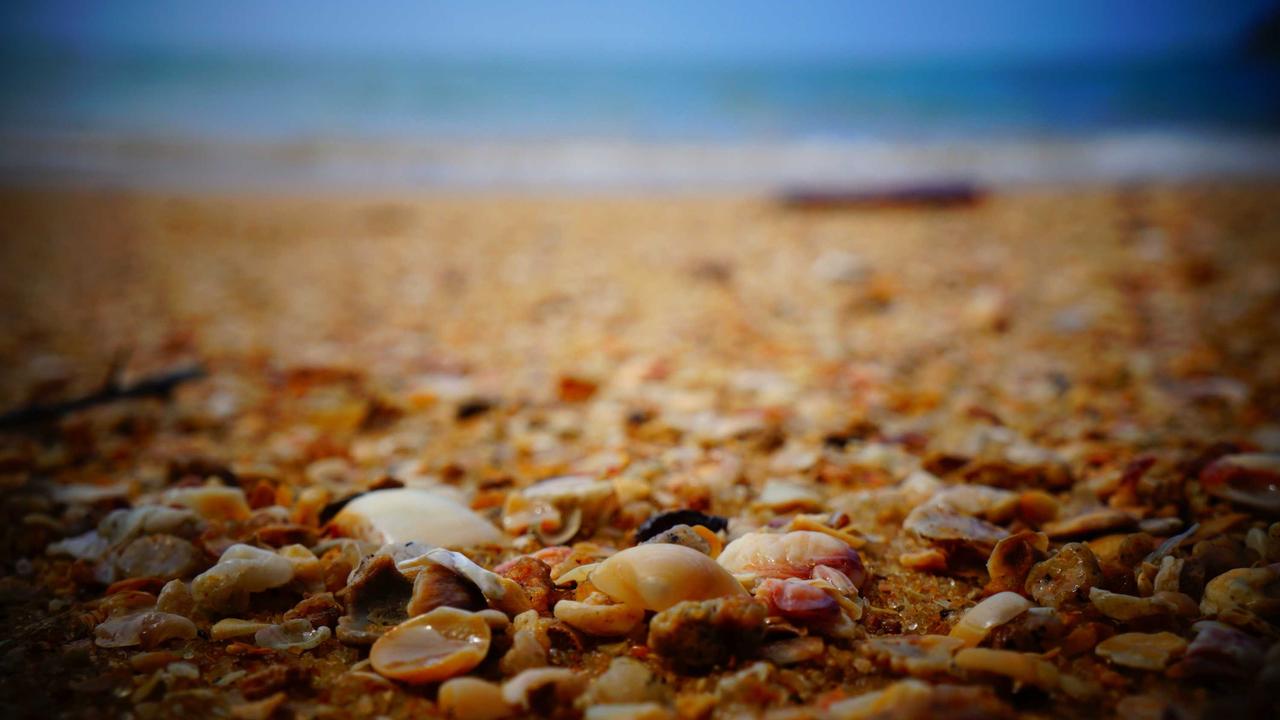 Blue ocean strategy: how to compete where there's no competition