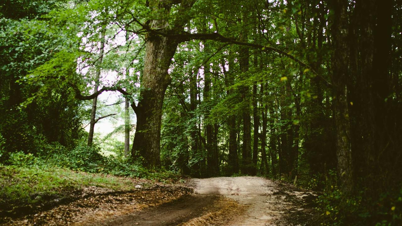 A guide to writing a welcome message that hooks