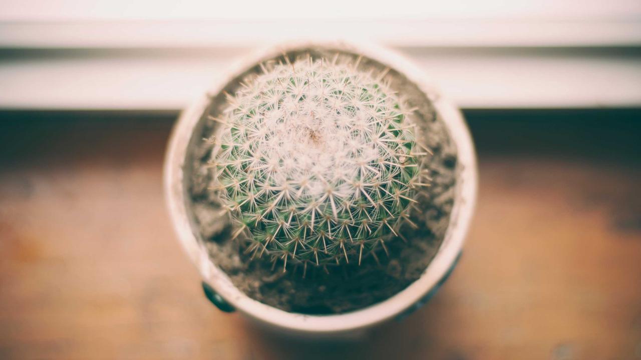 Marketing with local micro-influencers