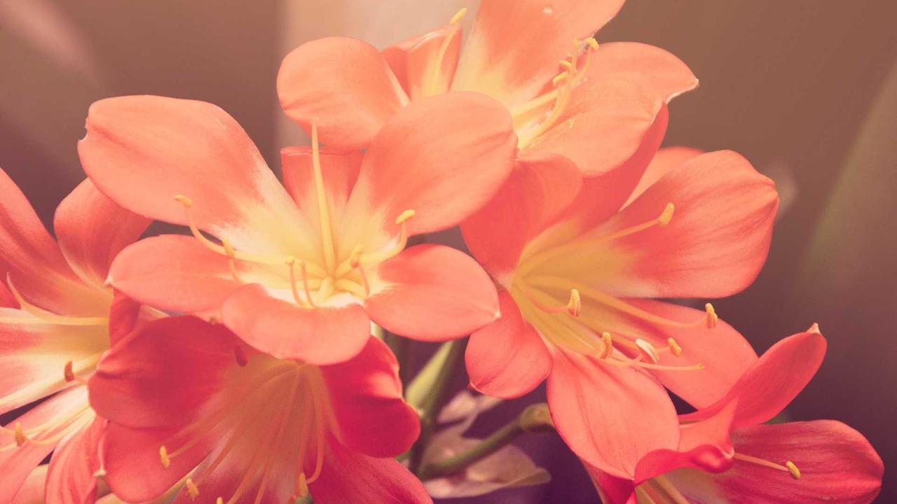Seasonal marketing and key dates: how to plan the year