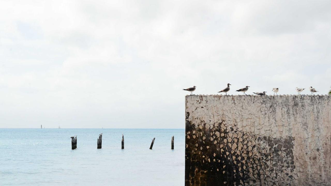 Psychological pricing: why $99 sells more than $100