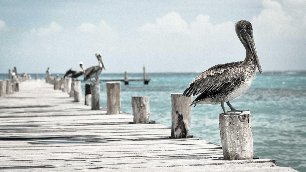 What remarketing is and how to win back visitors