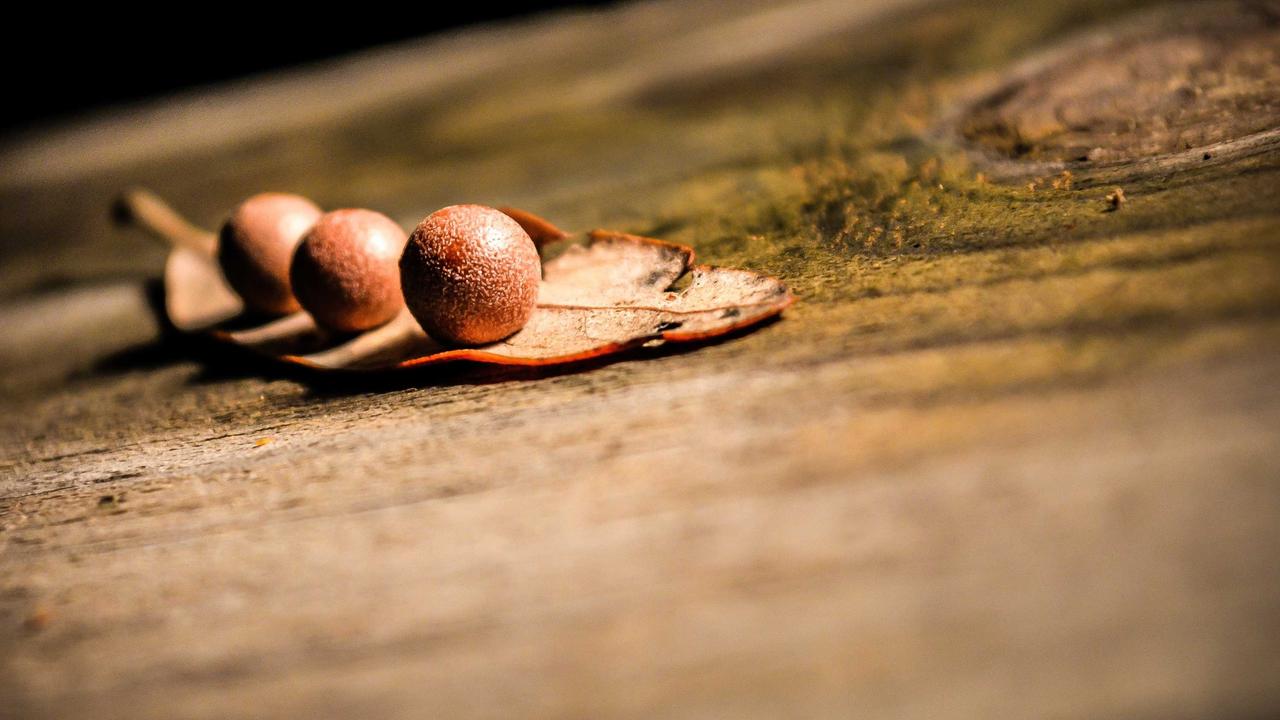 The 80/20 rule (Pareto) in your business