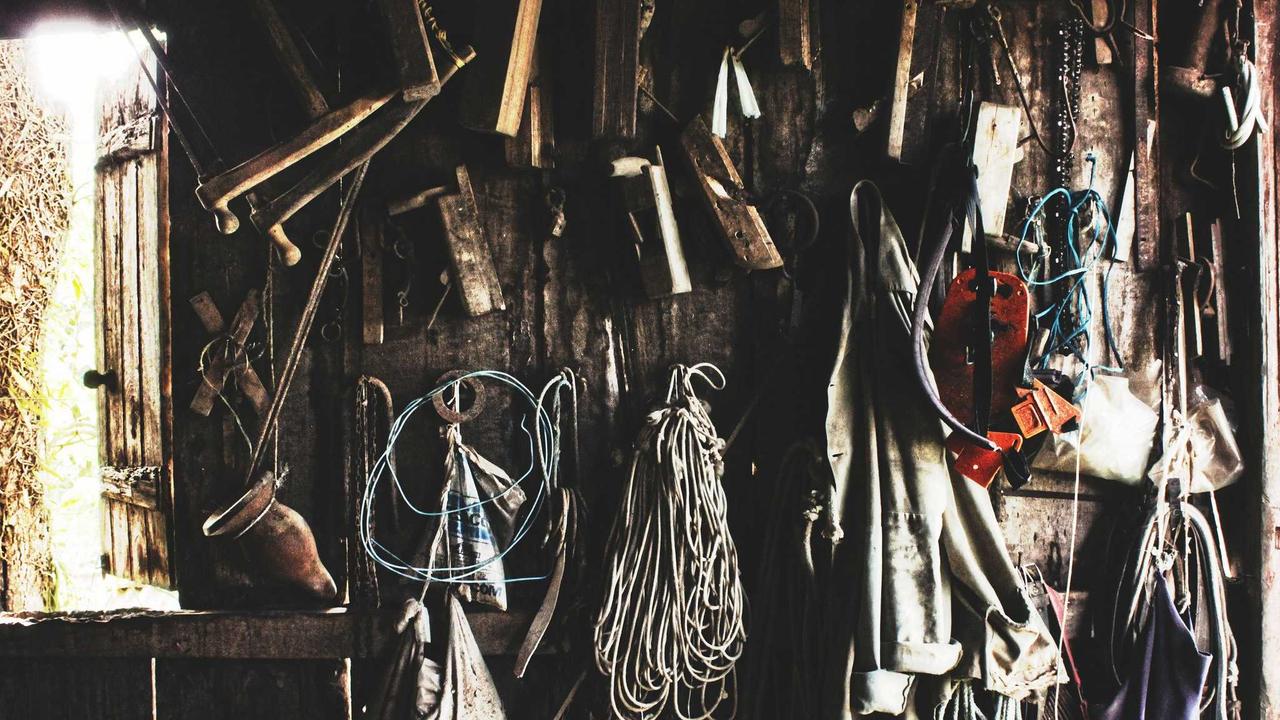 Tags and custom fields: organize your clients your way